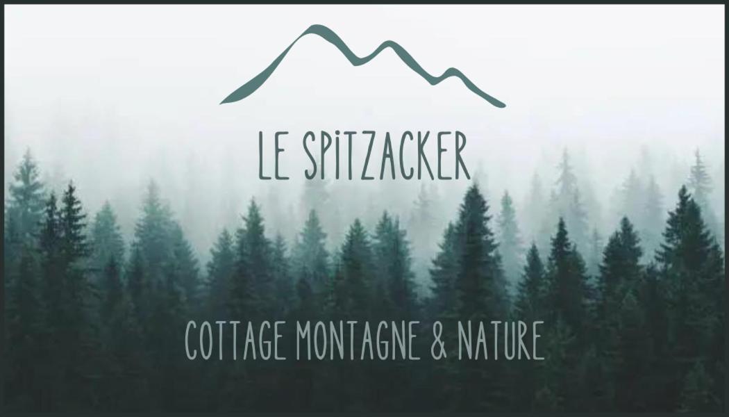 Le Spitzacker Gite Familial Au Calme Husseren-Wesserling Extérieur photo